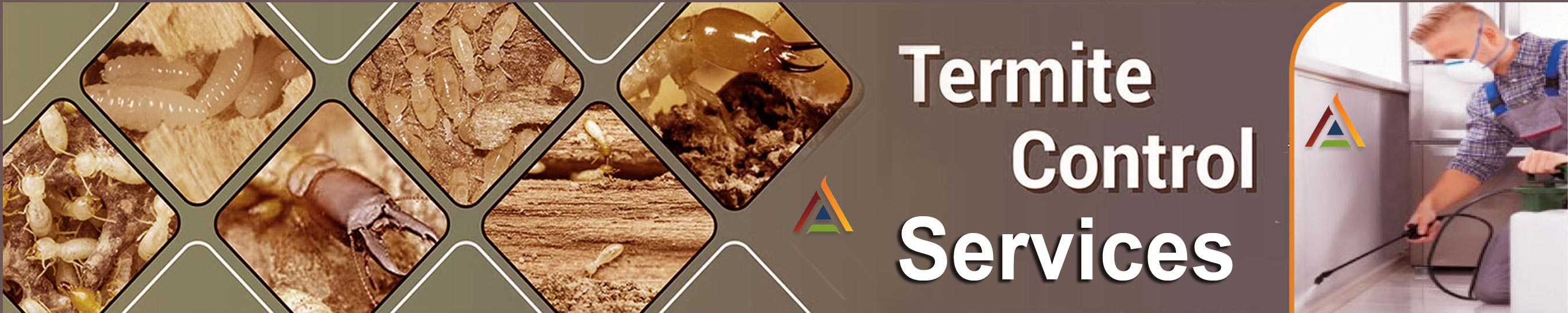 Anti-termite Pest Control Services Rajkot