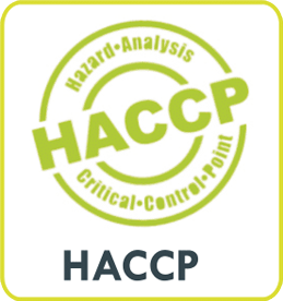 Cockroach Pest Control Services Rajkot Gujarat India