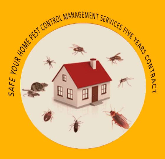Pest Control Services -  Pest Control Services Home - Residential 